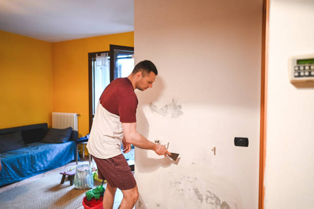 Best Certified Mold Removal  in New Lexington, OH